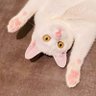 グッピー's profile picture