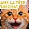 Chemistry Cat 的头像