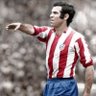 Blas de Lezo 🇪🇦's profile picture