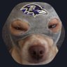 SoFlo Ravens Dude's profile picture