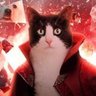 La Panita Cat Strange 😻's profile picture