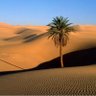 ابوفهد 的头像