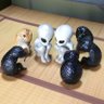 仕事子猫's profile picture