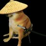 Profilbild von Anrenka