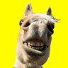 Profilbild von Joel Bob