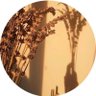 عبـد الرَّحمـن | صلُّوا عليهﷺ's profile picture
