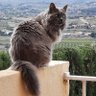 Ludmila's profile picture