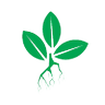 Green Army profil fotoğrafı