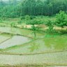 Фото профиля shuming