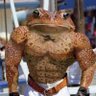 P H R O G profil fotoğrafı