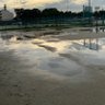 Фото профиля 棚ぼた