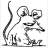 Patchrat 的头像