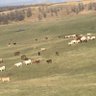 Profilbild von Valley view Acres