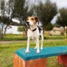 guarilaquero's profile picture