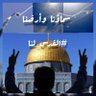 محمد محمود's profile picture
