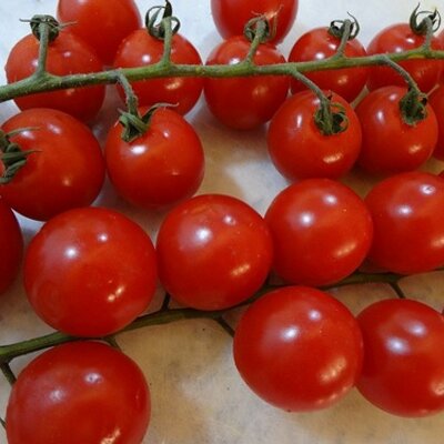 passykis's profile picture