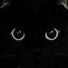 黑色記憶的貓🐾 profil fotoğrafı