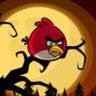 Sami Washington's profile picture
