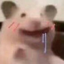 AnnaChen1994's profile picture