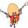 Yosemite87Sam 🇺🇲🏴☠️'s profile picture