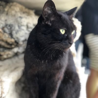 番号の人's profile picture