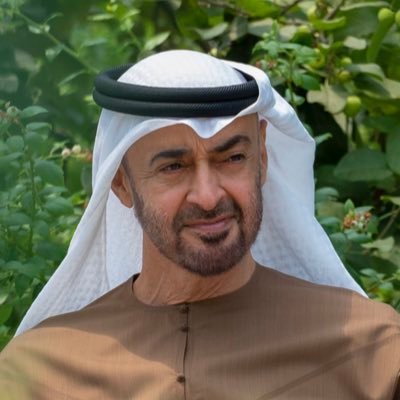 MohamedBinZayed's profile picture