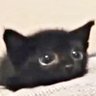 Profilbild von AR⁷ misses megumi