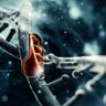 Фото профиля Mars|mRNA