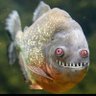 Zombee77's profile picture
