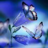make a difference's profile picture