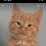 pequeño ezequiel profil fotoğrafı