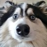 Profilbild von Bam Bam
