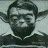 said_wut_i_said's profile picture