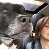 SusaninMA🇺🇸's profile picture