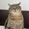 ruifeng profil fotoğrafı