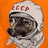 zapata's profile picture