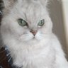 南朝の木里1115's profile picture