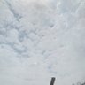 闯关东's profile picture