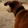Profilbild von Testimony Emdin