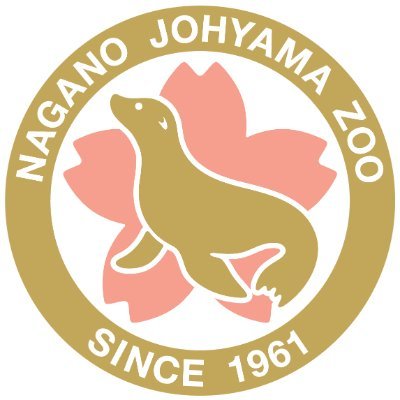 jyz0586's profile picture