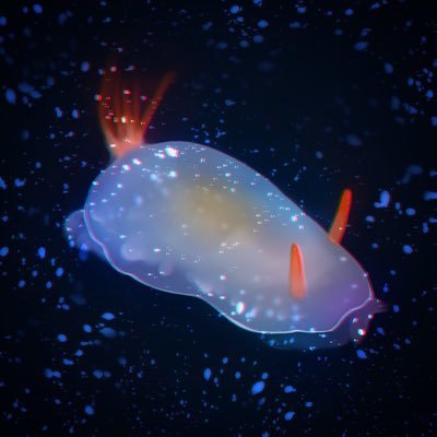 uniushi_'s profile picture