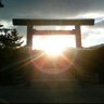 いでっきー's profile picture