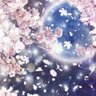 さくら 的头像