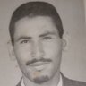 AL,mameed's profile picture