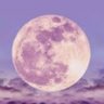 LoveHealthPeace 的头像