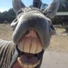 josh2549123815423's profile picture