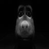 Profilbild von V