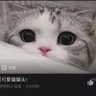 Summer 的头像