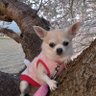 ぱお's profile picture