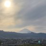 適応障害のつぶやき 的头像